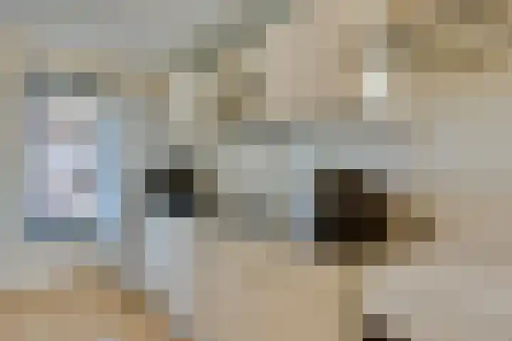 Kasteel-Traverse 95 Helmond thumbnail 24