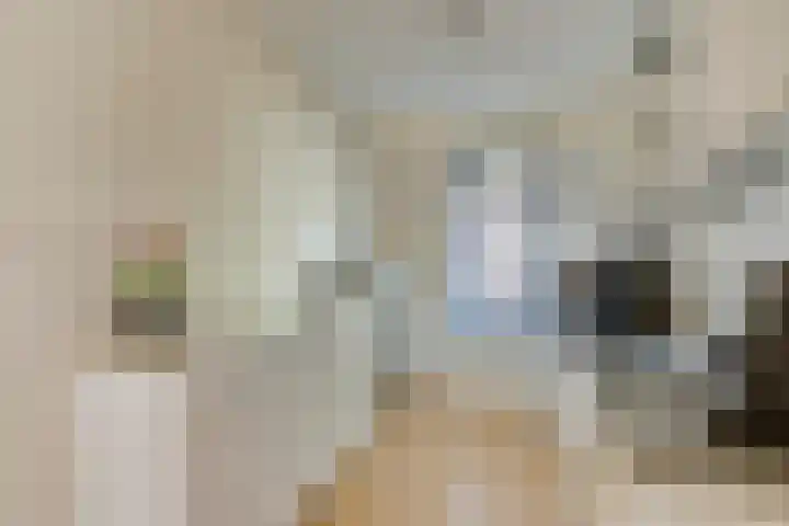 Kasteel-Traverse 95 Helmond thumbnail 25