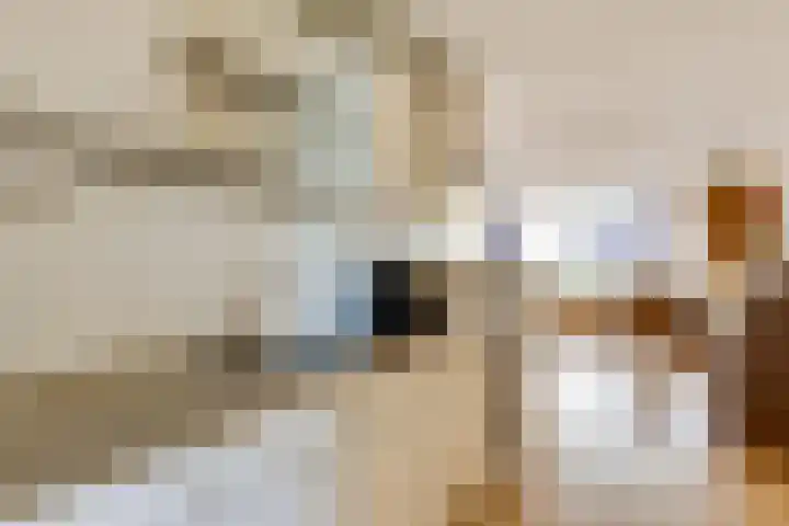 Kasteel-Traverse 95 Helmond thumbnail 26