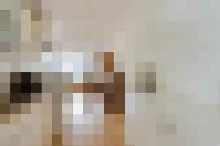 Kasteel-Traverse 95 Helmond thumbnail 27