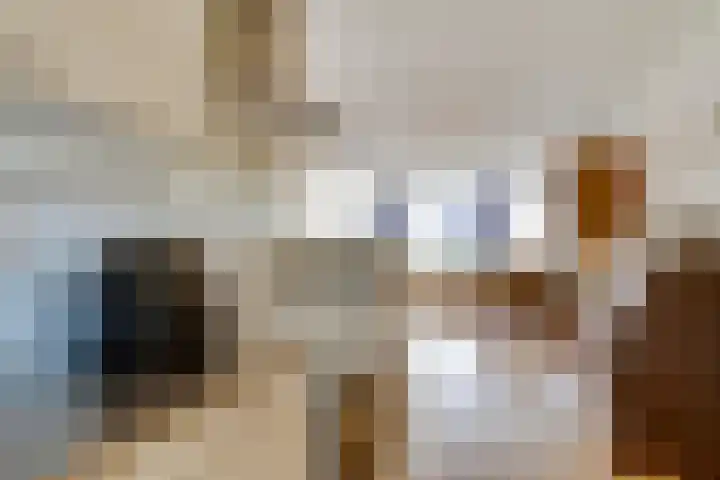 Kasteel-Traverse 95 Helmond thumbnail 28
