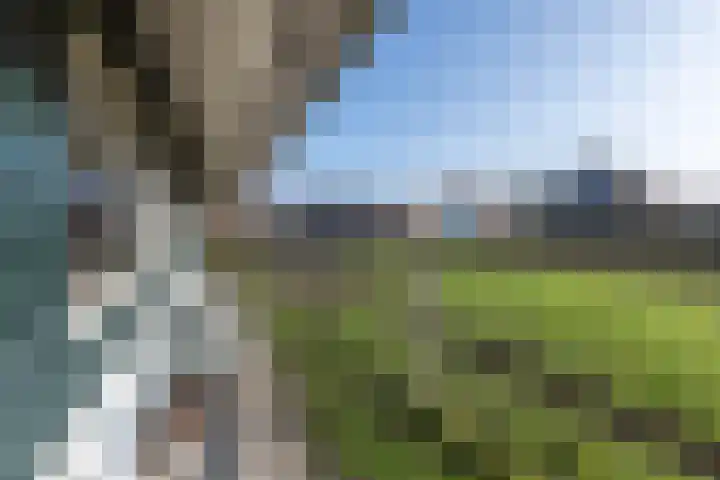 Kasteel-Traverse 95 Helmond thumbnail 44