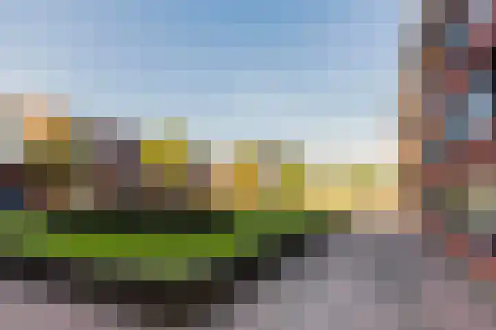 Kasteel-Traverse 95 Helmond thumbnail 45