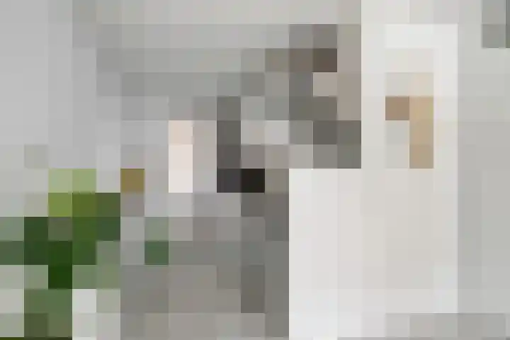 Kasteel-Traverse 97 Helmond thumbnail 14