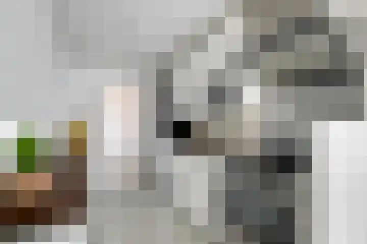 Kasteel-Traverse 97 Helmond thumbnail 15