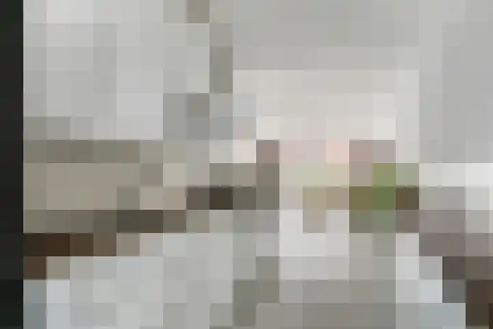 Kasteel-Traverse 97 Helmond thumbnail 16