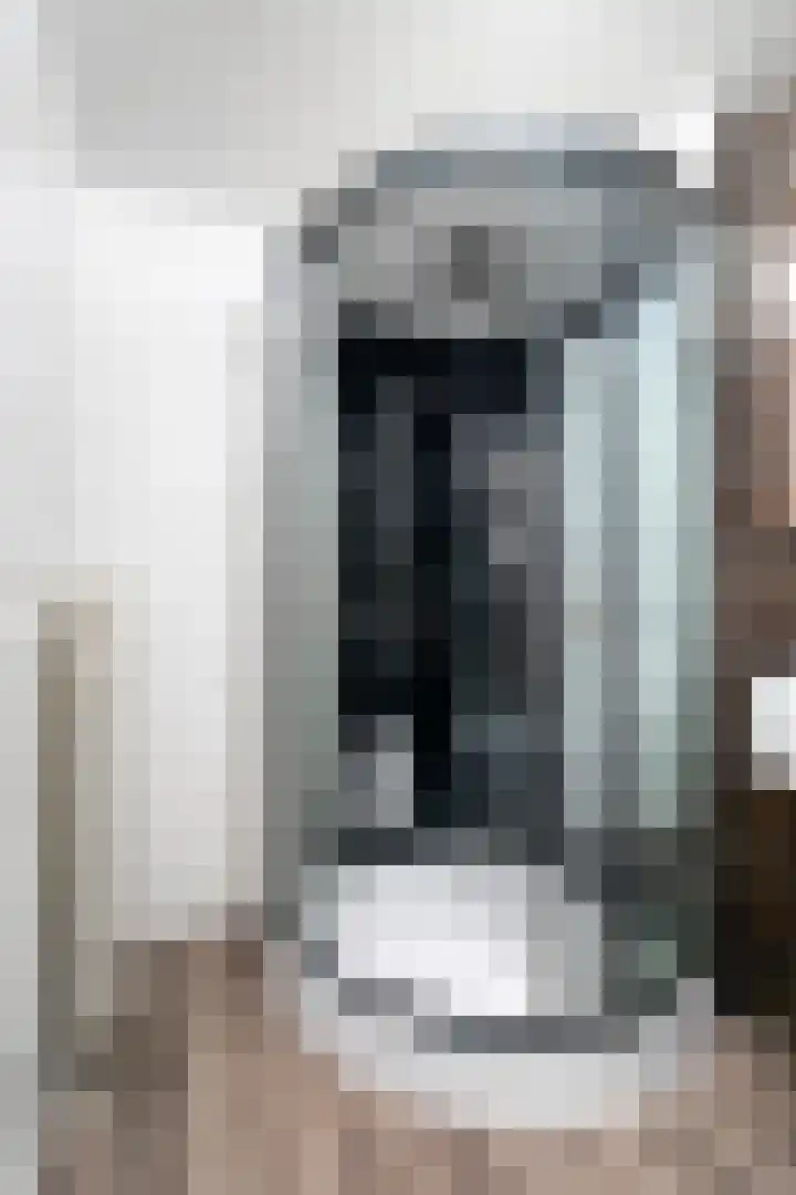 Kasteel-Traverse 97 Helmond thumbnail 25