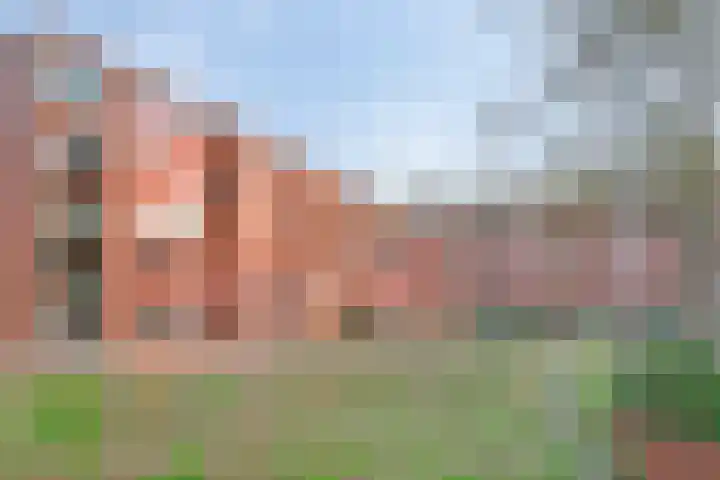Kasteel-Traverse 97 Helmond thumbnail 29