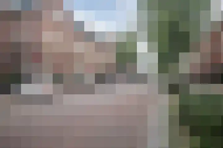 Kasteel-Traverse 97 Helmond thumbnail 31