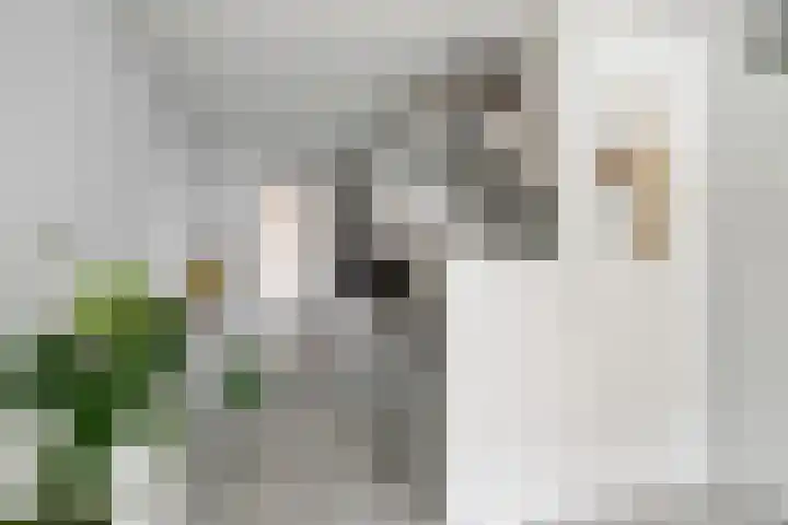 Kasteel-Traverse 97 Helmond thumbnail 4