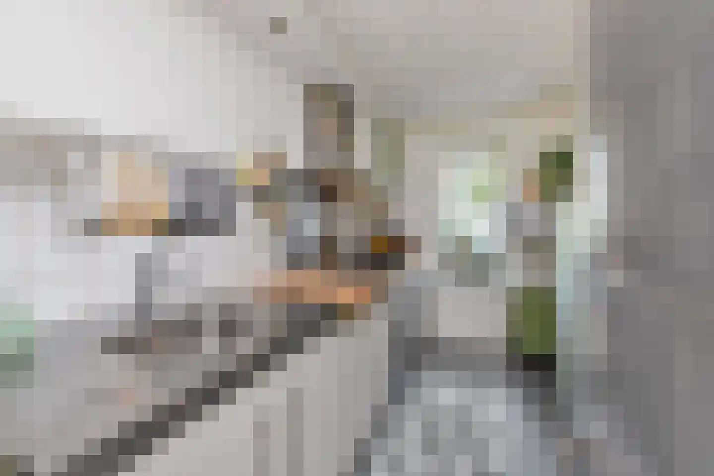 Kasteel-Traverse 99 Helmond thumbnail 25