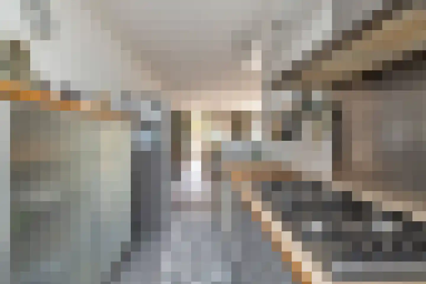 Kasteel-Traverse 99 Helmond thumbnail 26