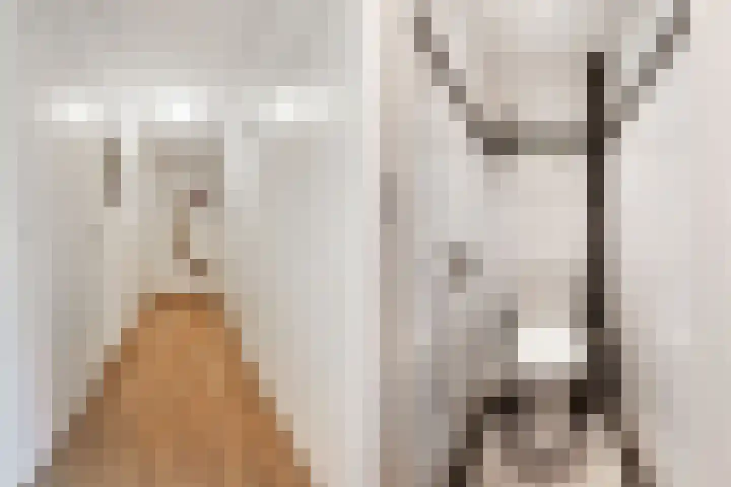 Kasteel Twikkelstraat 21 Tilburg thumbnail 4