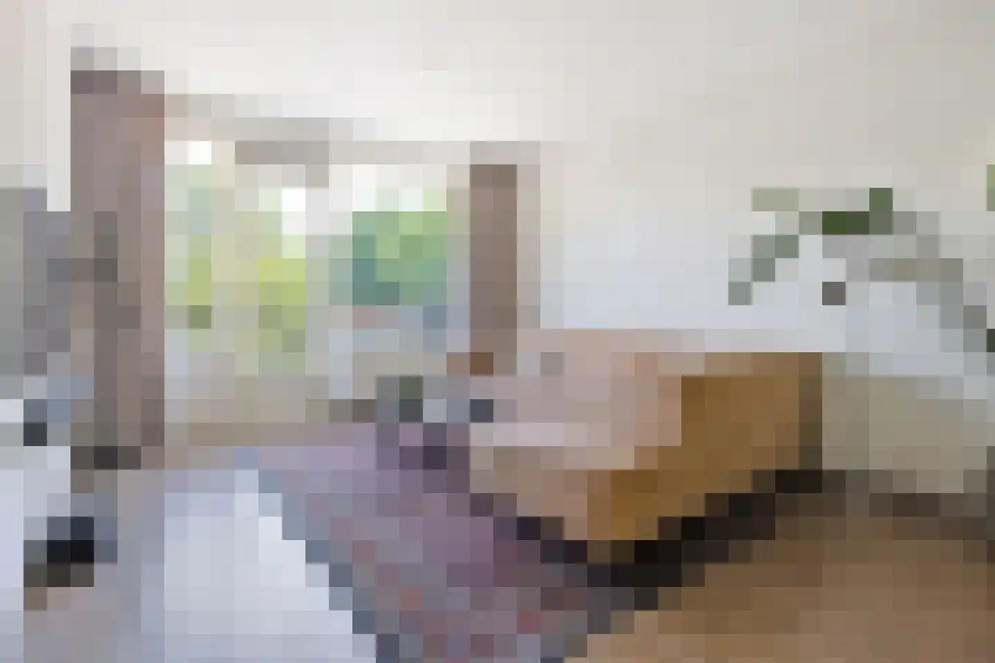 Kasteel Twikkelstraat 21 Tilburg thumbnail 5