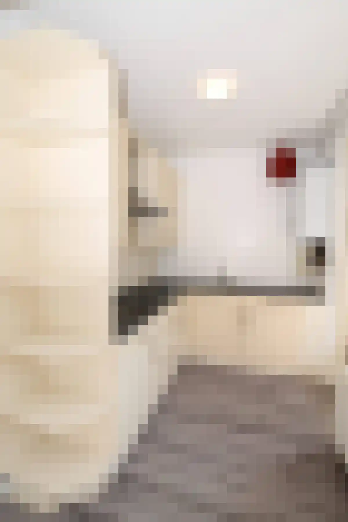 Kasteel Twikkelstraat 3 Tilburg thumbnail 5