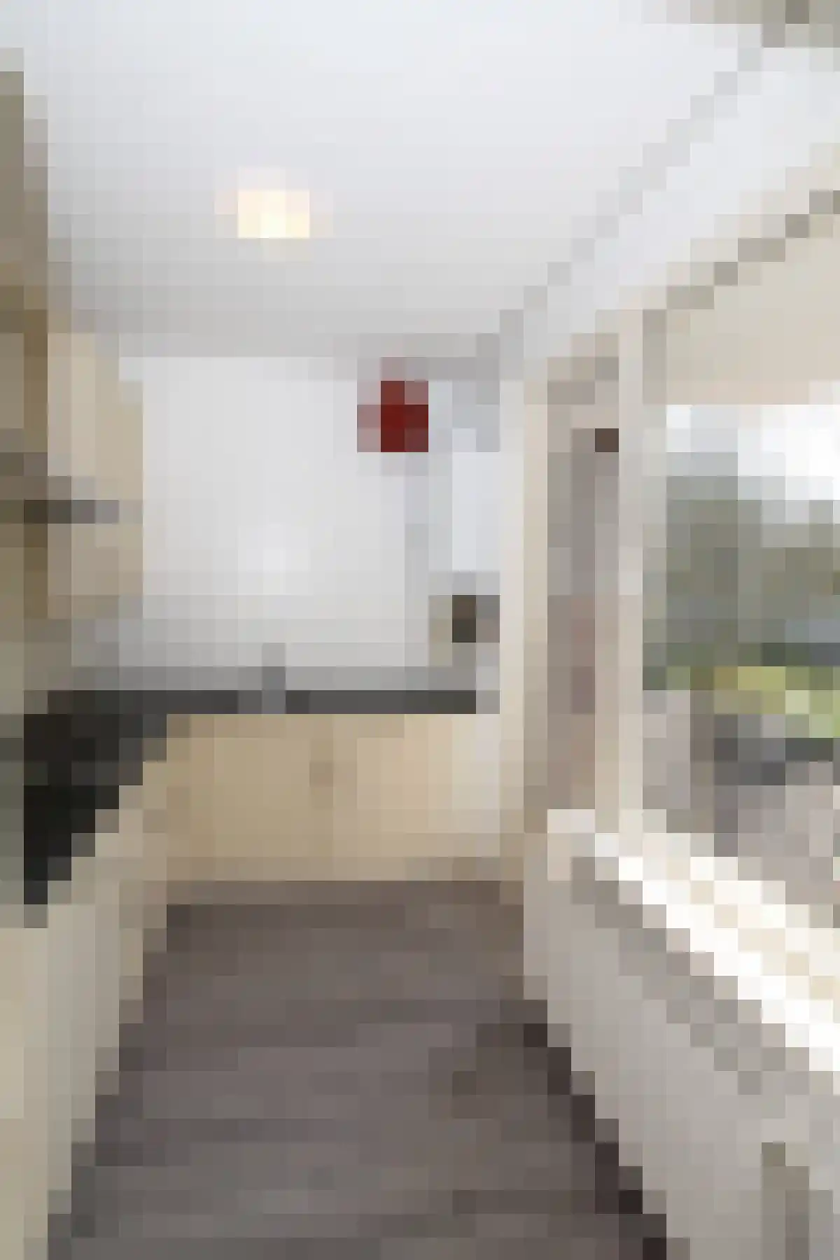 Kasteel Twikkelstraat 3 Tilburg thumbnail 6