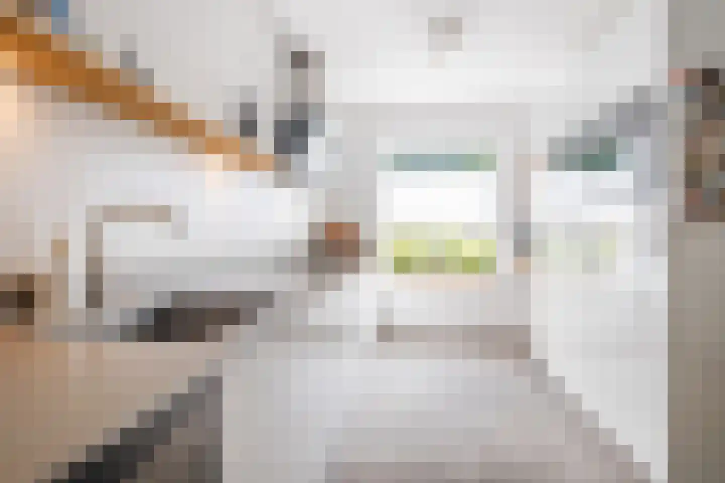Kasteel Twikkelstraat 57 Tilburg thumbnail 10