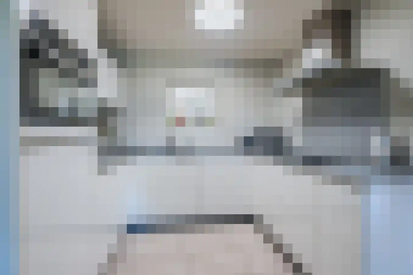 Kasteeldreef 1 Veldhoven thumbnail 18