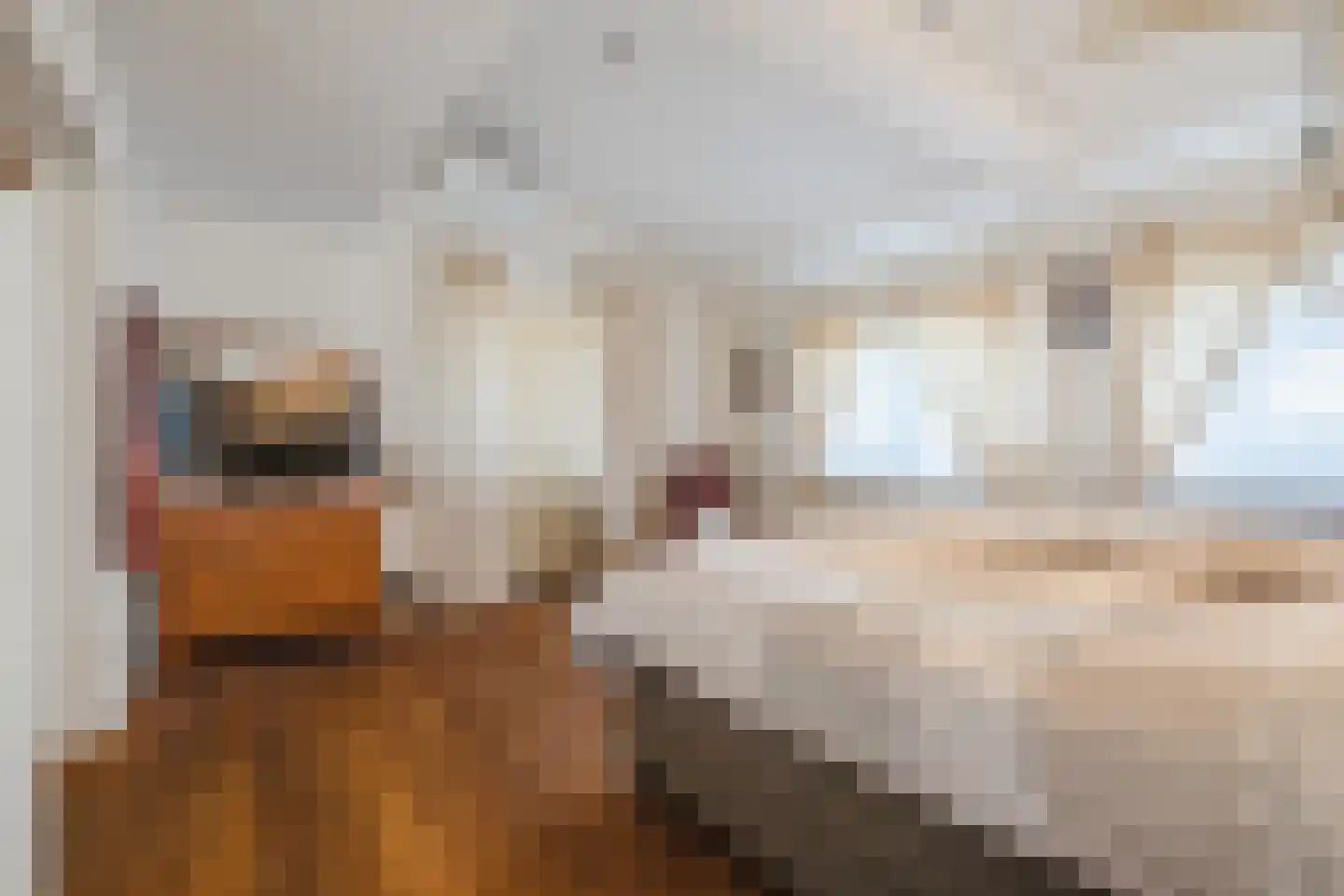 Kasteeldreef 1 Veldhoven thumbnail 20