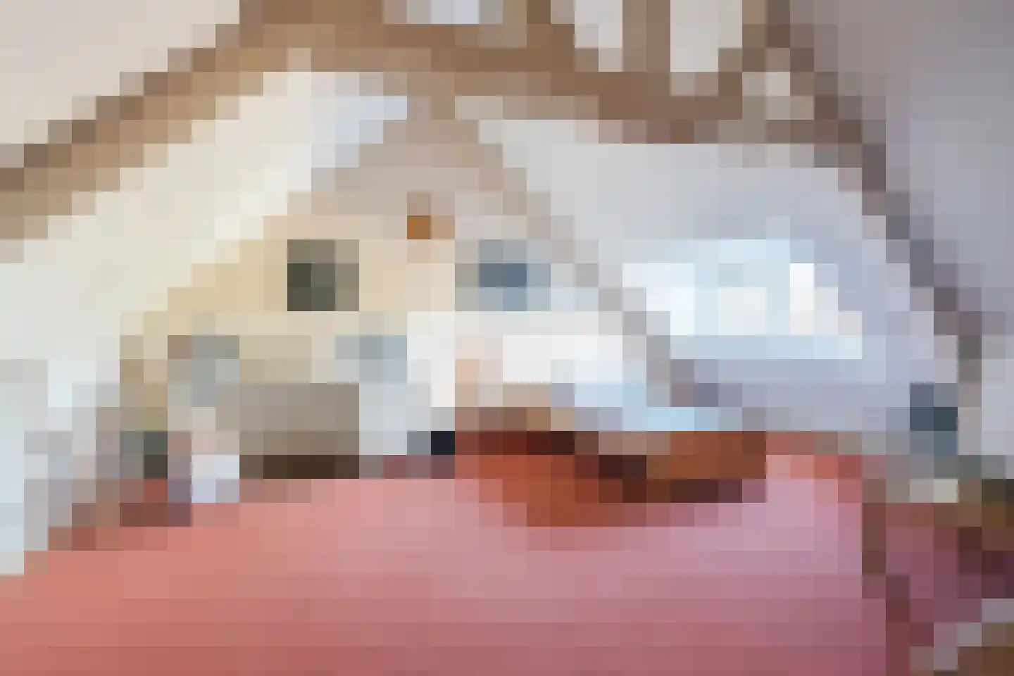 Kasteeldreef 1 Veldhoven thumbnail 29