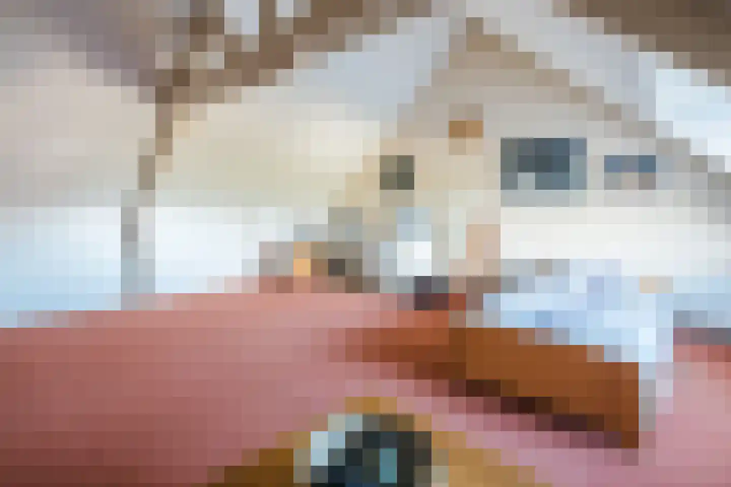 Kasteeldreef 1 Veldhoven thumbnail 30