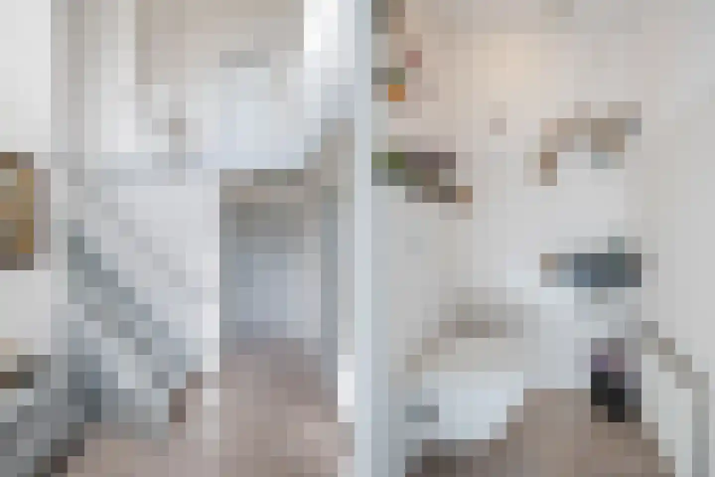Kasteeldreef 1 Veldhoven thumbnail 6
