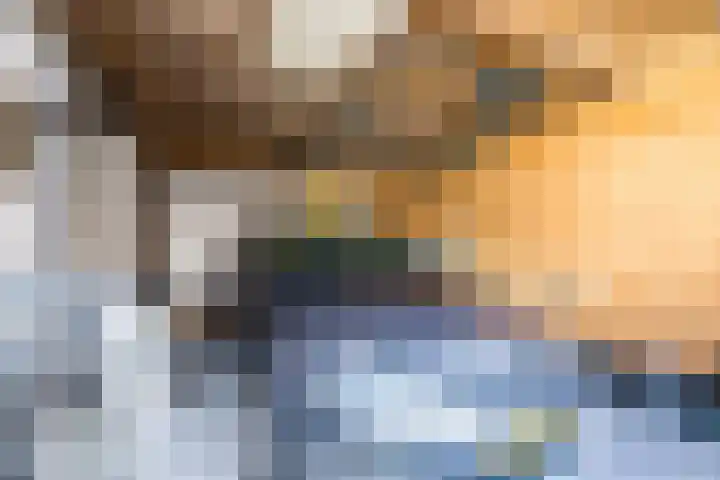 Kasteeldreef 26 Tilburg thumbnail 18