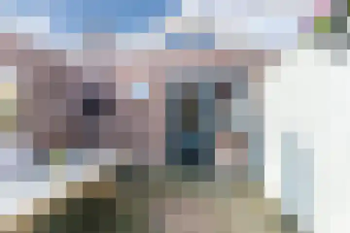 Kasteeldreef 26 Tilburg thumbnail 19