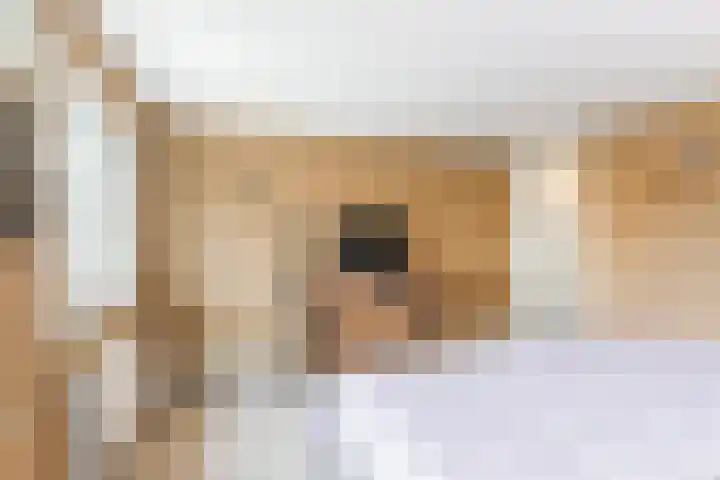 Kasteeldreef 26 Tilburg thumbnail 23
