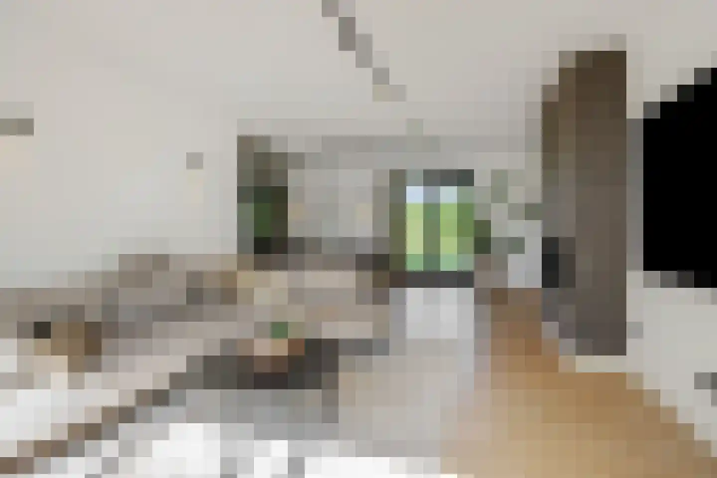 Kasteeldreef 29 's-Hertogenbosch thumbnail 11