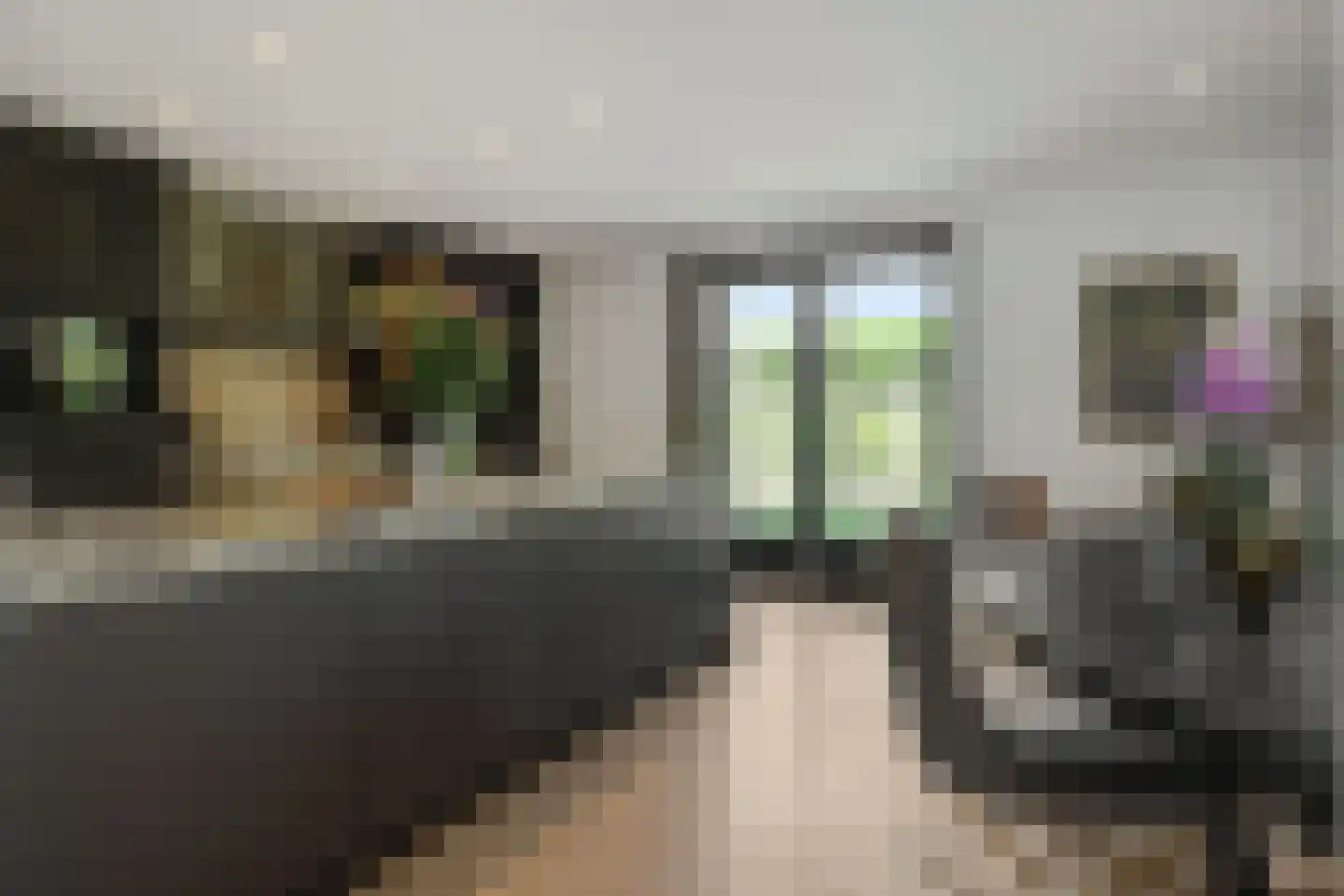 Kasteeldreef 29 's-Hertogenbosch thumbnail 13