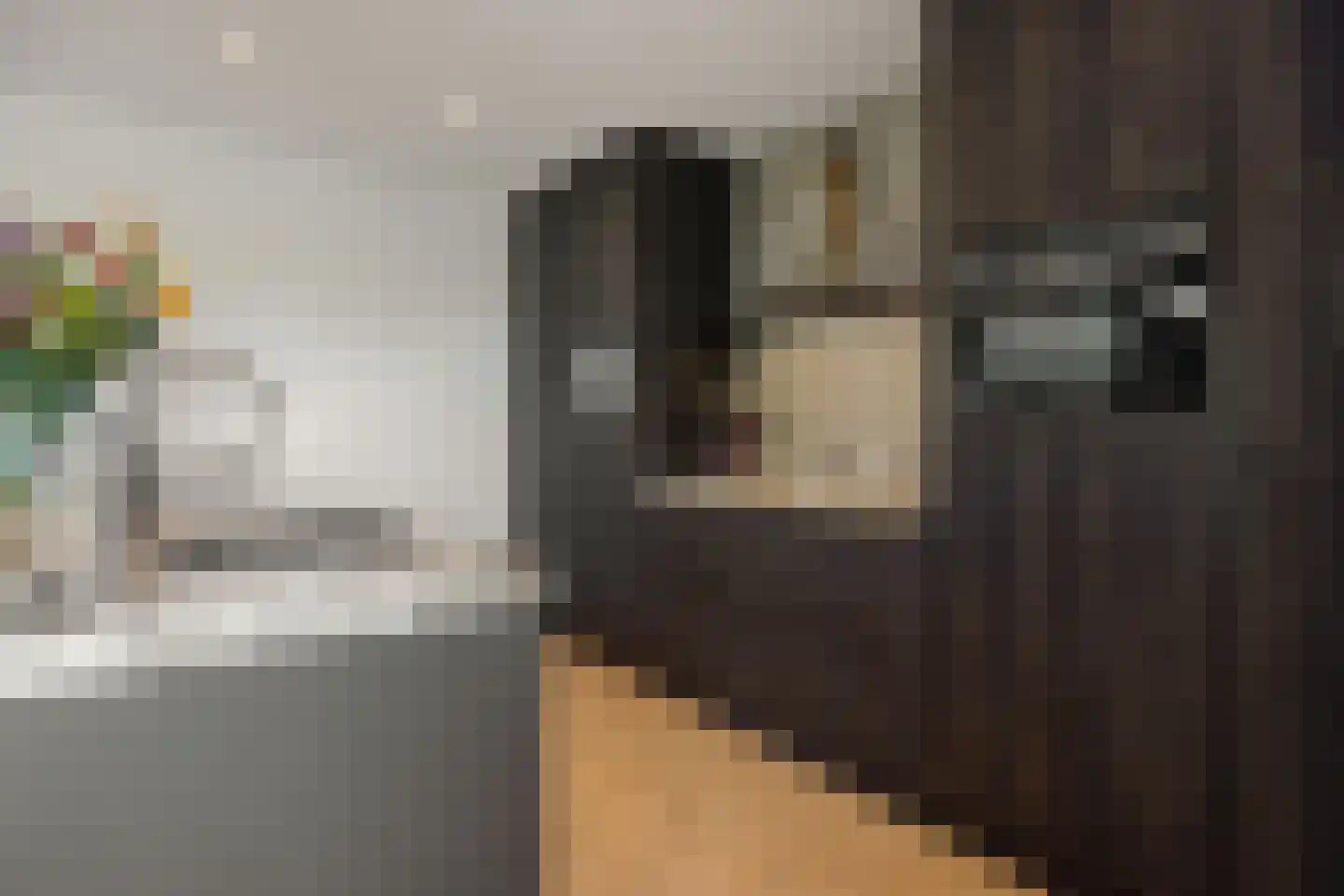 Kasteeldreef 29 's-Hertogenbosch thumbnail 14