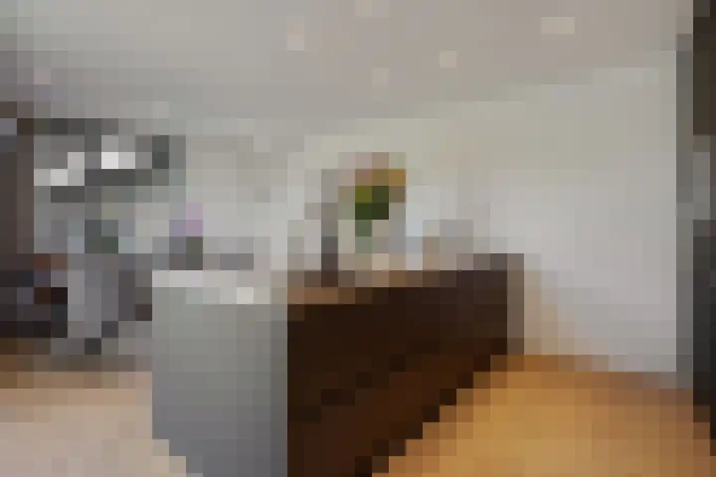 Kasteeldreef 29 's-Hertogenbosch thumbnail 17