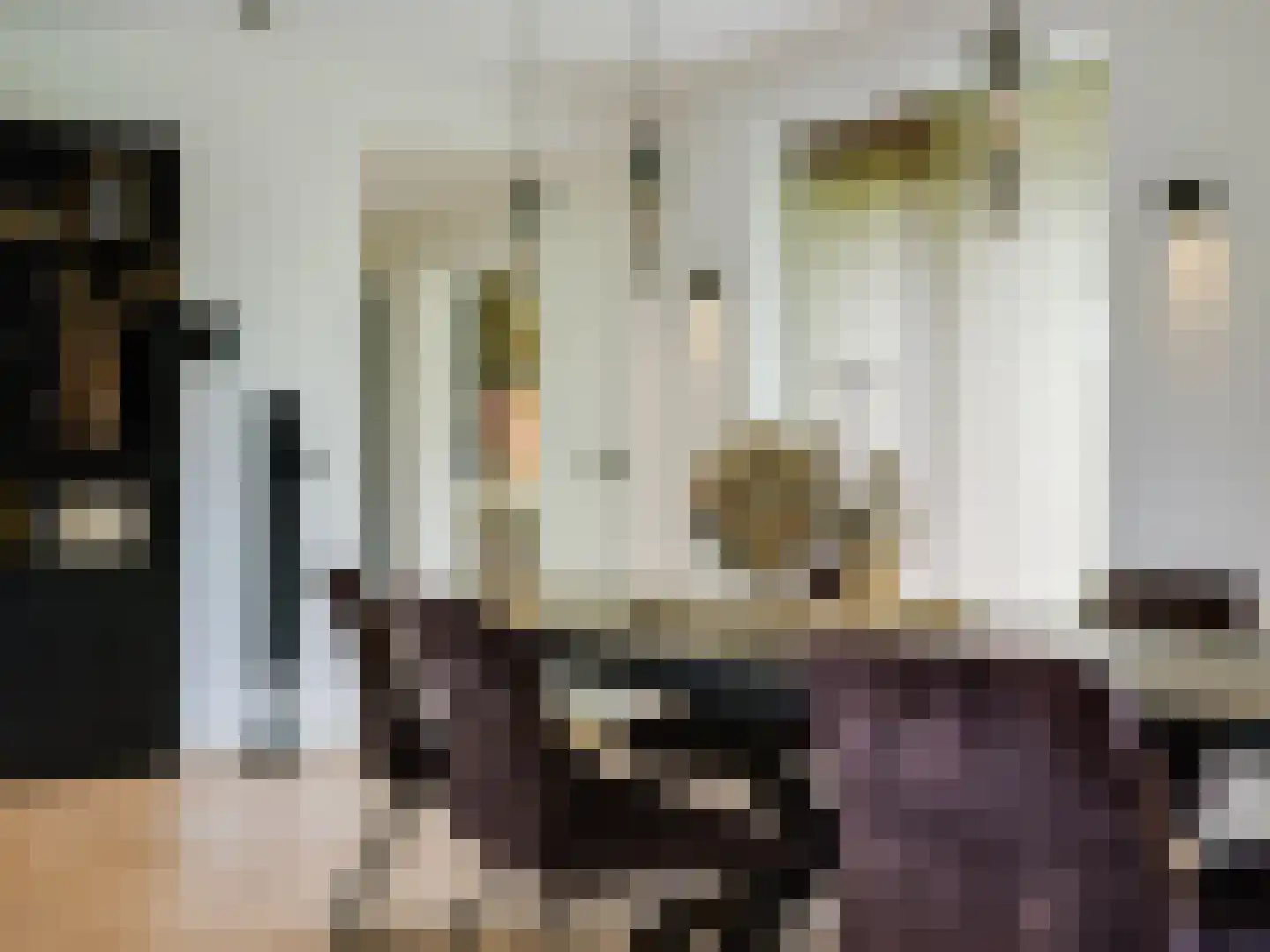 Kasteeldreef 29 's-Hertogenbosch thumbnail 18