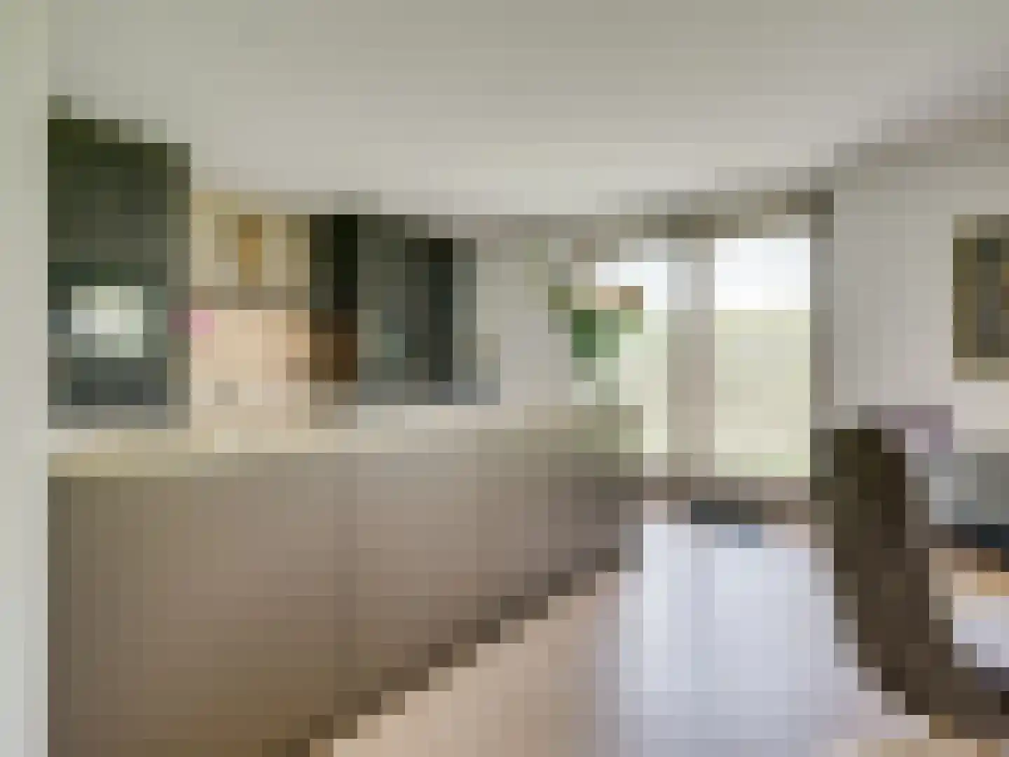 Kasteeldreef 29 's-Hertogenbosch thumbnail 21