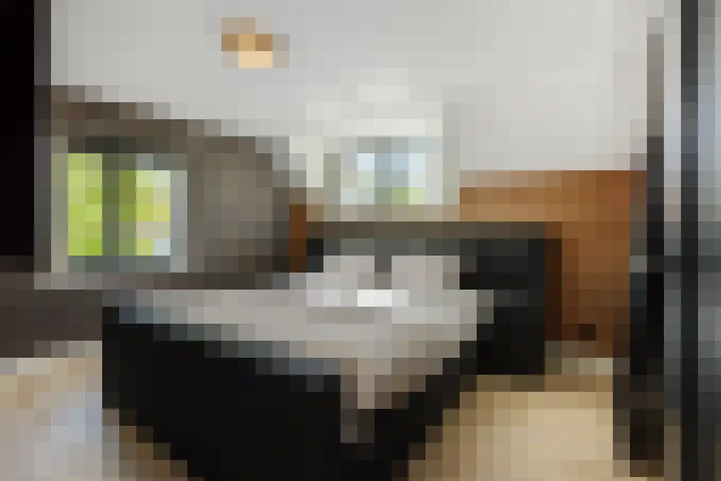 Kasteeldreef 29 's-Hertogenbosch thumbnail 21