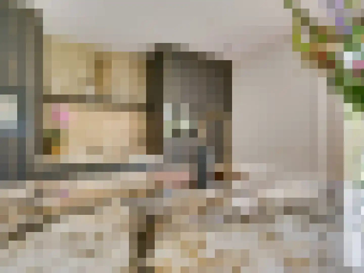 Kasteeldreef 29 's-Hertogenbosch thumbnail 23