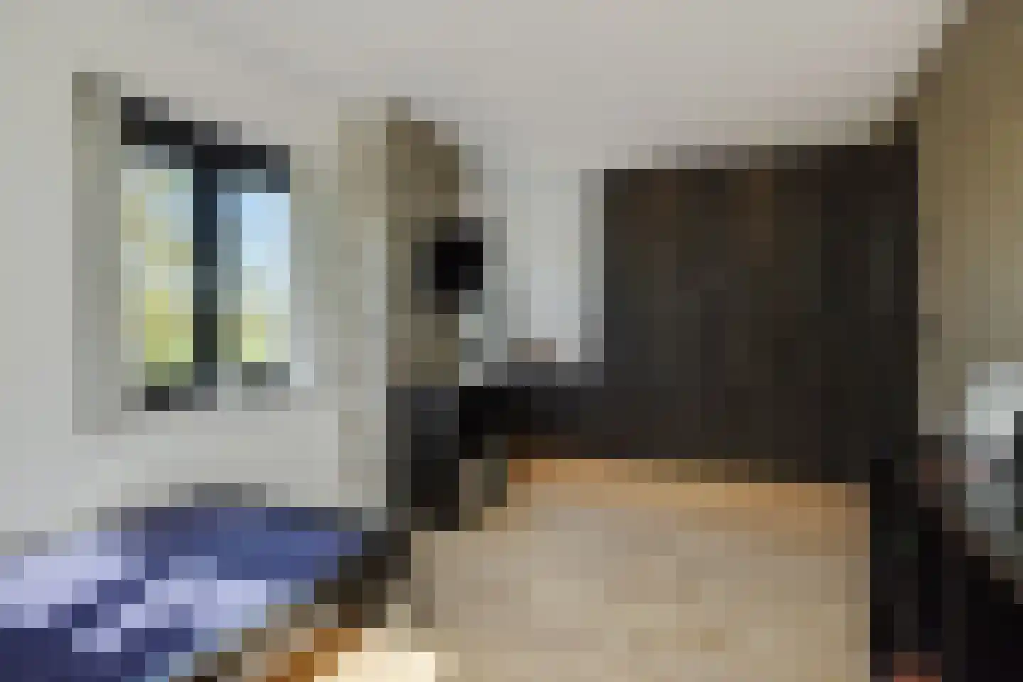 Kasteeldreef 29 's-Hertogenbosch thumbnail 24
