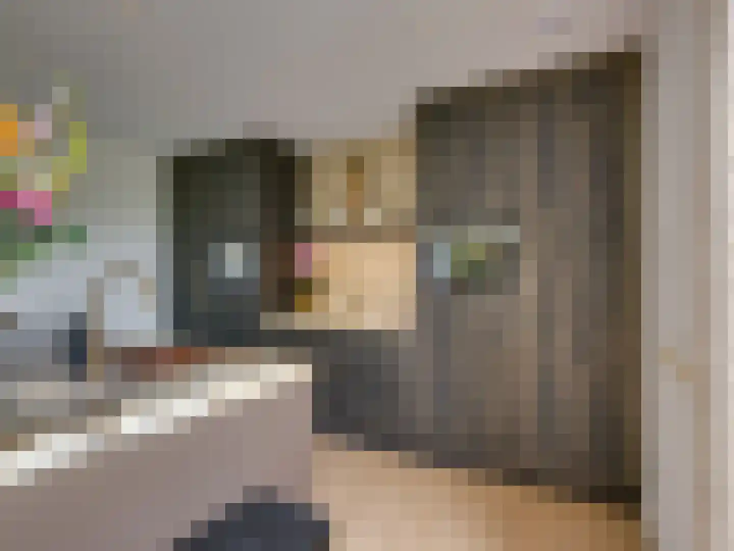 Kasteeldreef 29 's-Hertogenbosch thumbnail 24