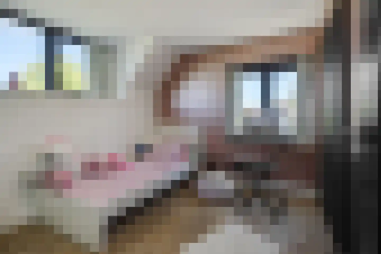 Kasteeldreef 29 's-Hertogenbosch thumbnail 25