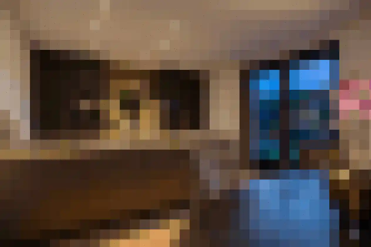 Kasteeldreef 29 's-Hertogenbosch thumbnail 26
