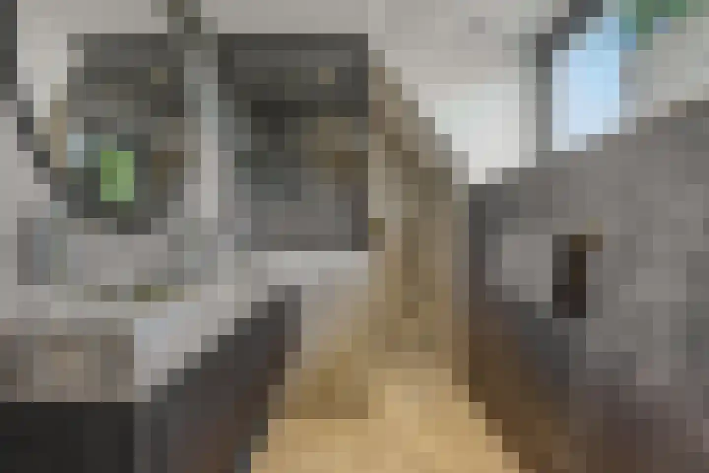 Kasteeldreef 29 's-Hertogenbosch thumbnail 26