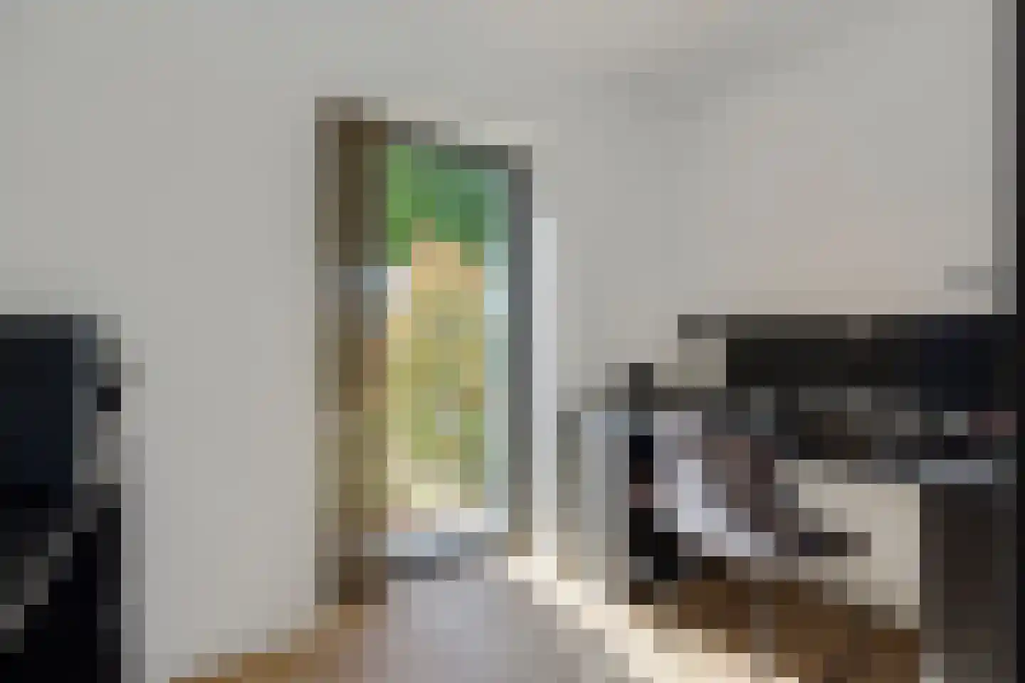 Kasteeldreef 29 's-Hertogenbosch thumbnail 27