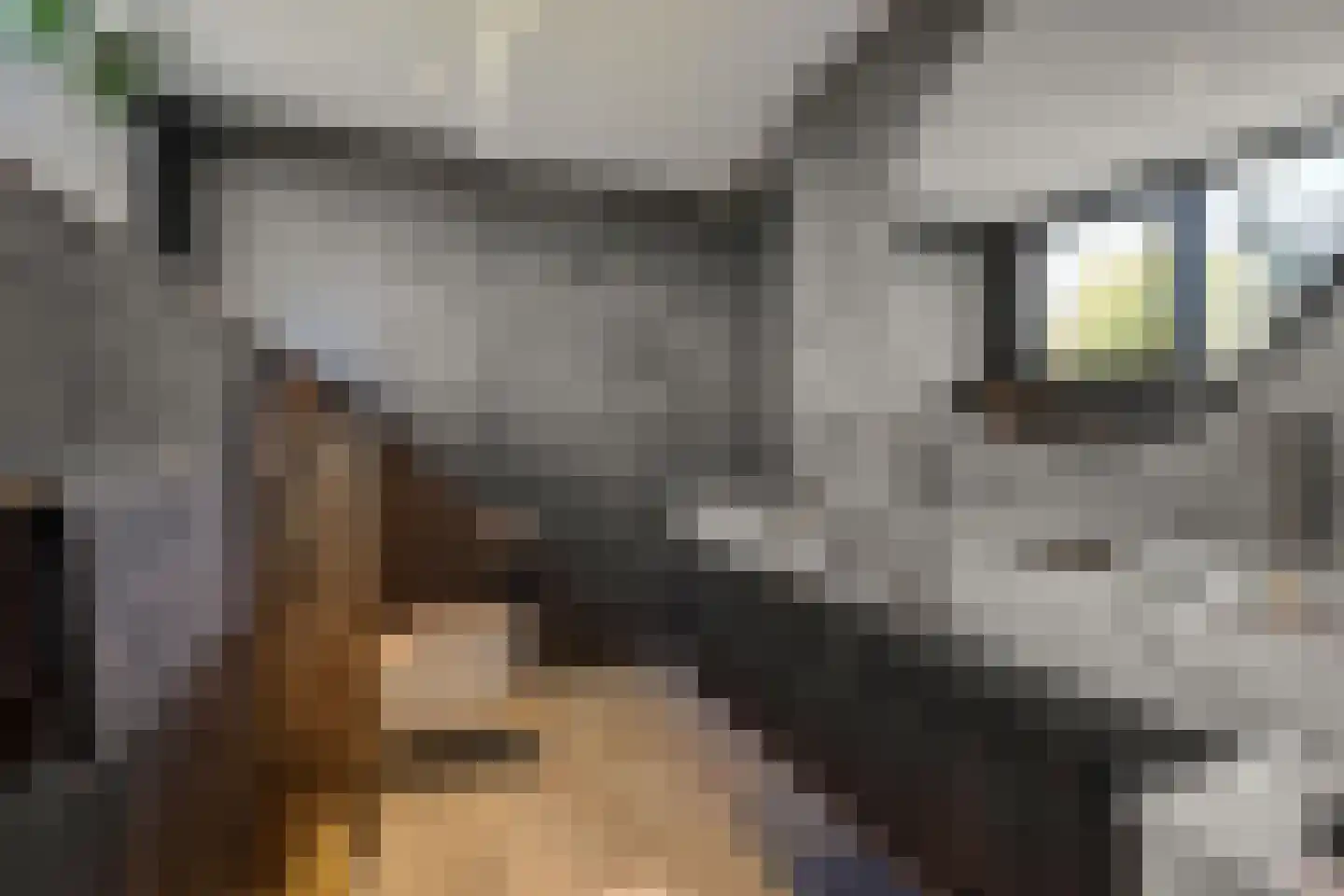 Kasteeldreef 29 's-Hertogenbosch thumbnail 27