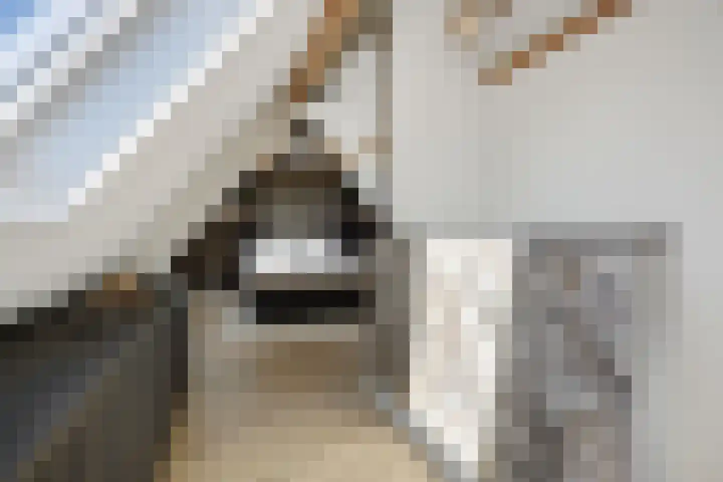 Kasteeldreef 29 's-Hertogenbosch thumbnail 29