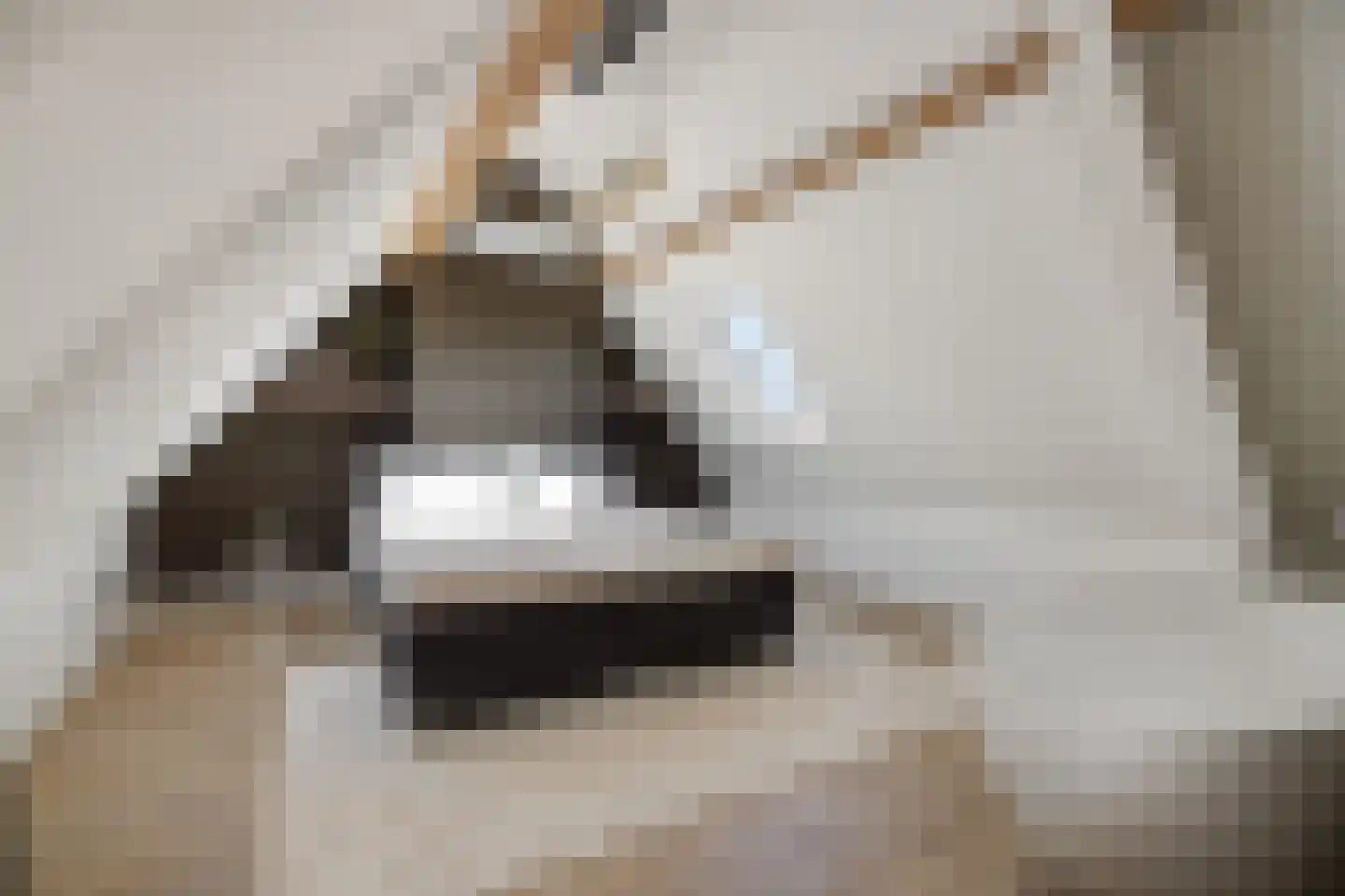 Kasteeldreef 29 's-Hertogenbosch thumbnail 30