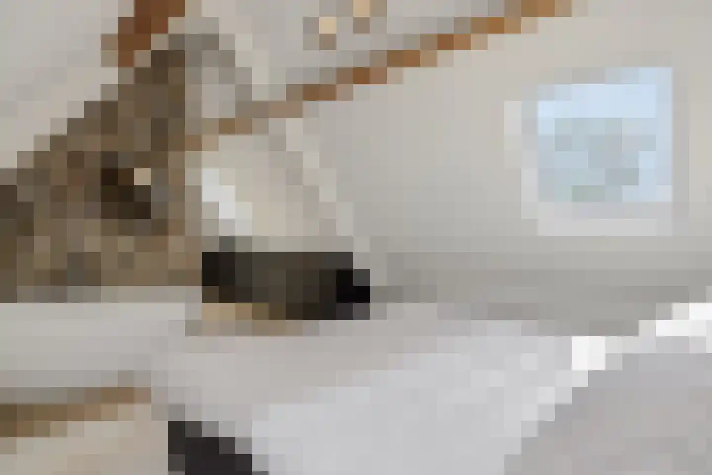 Kasteeldreef 29 's-Hertogenbosch thumbnail 31