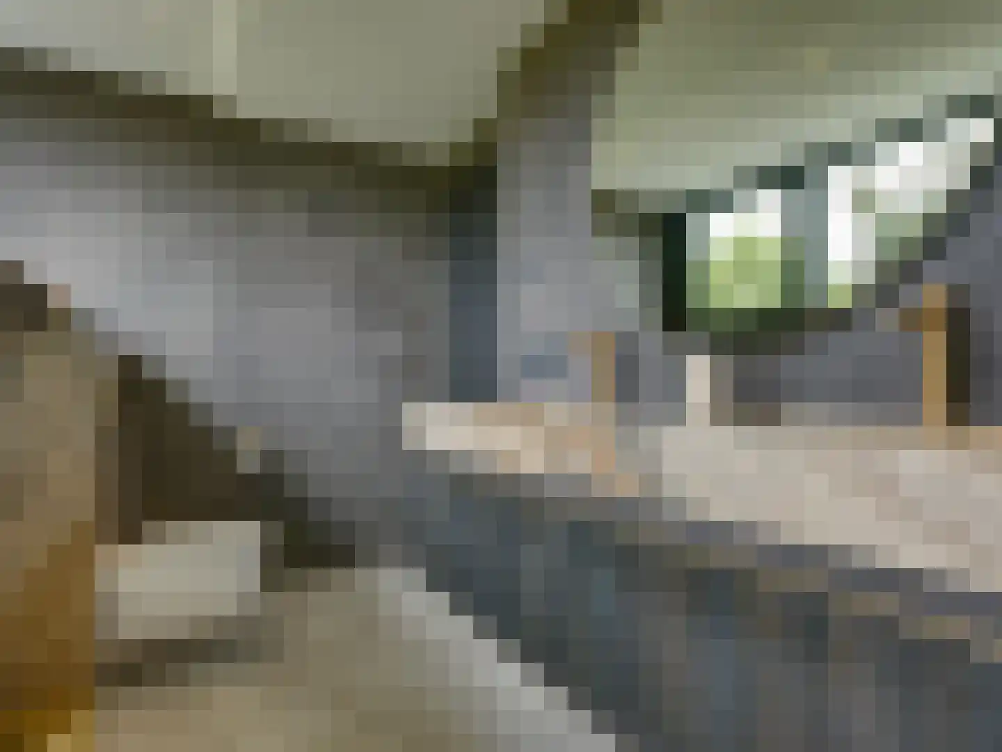 Kasteeldreef 29 's-Hertogenbosch thumbnail 36