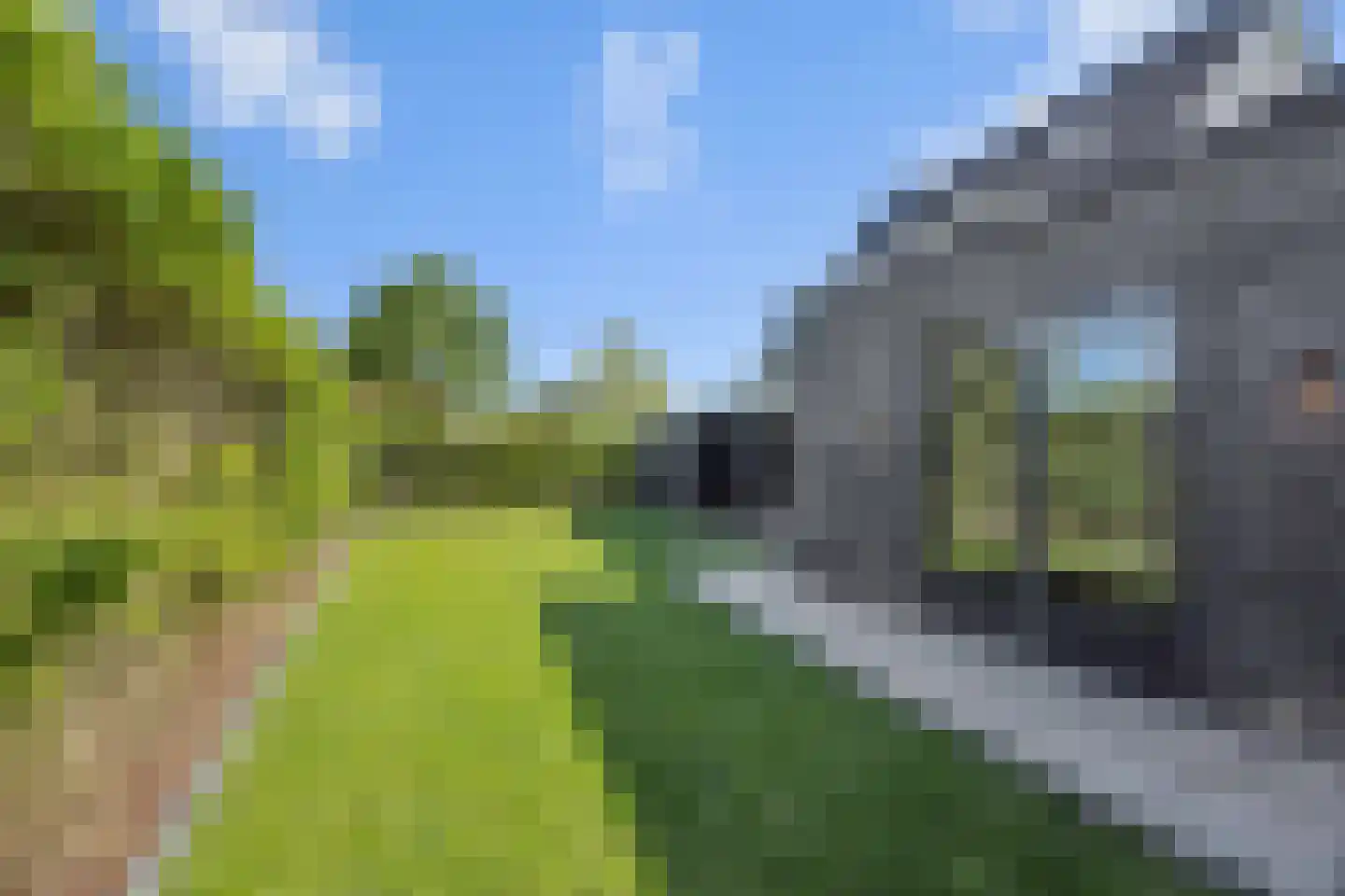 Kasteeldreef 29 's-Hertogenbosch thumbnail 36