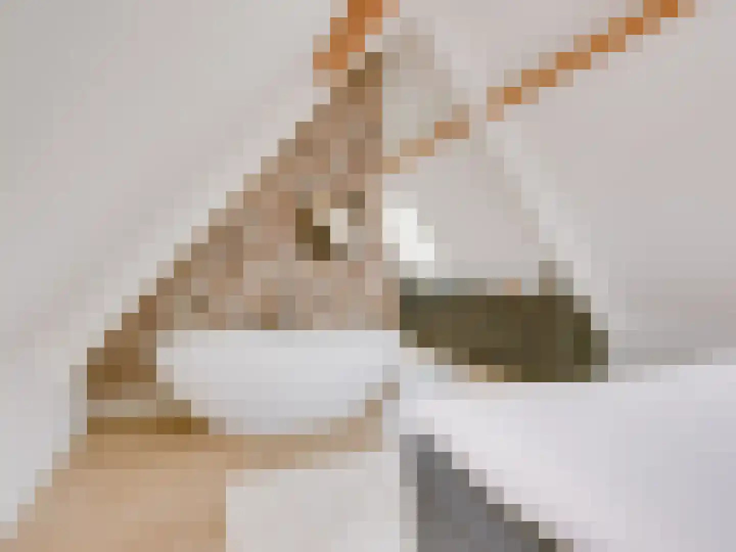 Kasteeldreef 29 's-Hertogenbosch thumbnail 41